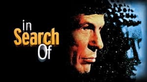 In Search of... — foto 5