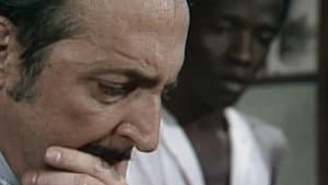 Episodio 31