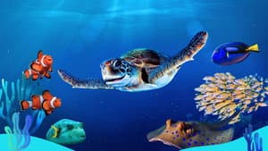Reef School — foto 1