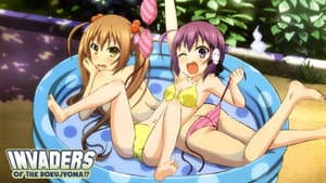 六畳間の侵略者!? — foto 1