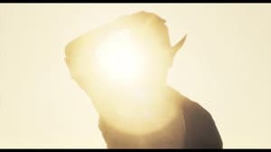 Coyote — foto 1