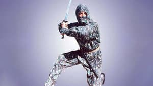 Ninja Terminator — foto 1