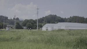 正しいバスの見分けかた — foto 1