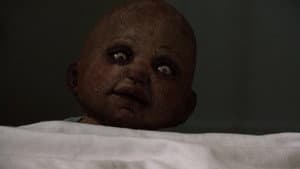 Baby Oopsie — foto 2