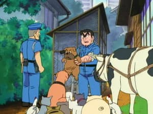 Episodio 172