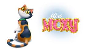 Miss Moxy — foto 2