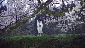 さくら、手のひら — foto 1