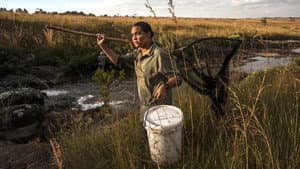 Okavango: El Alma Africana — foto 9