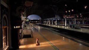Paddington — foto 12