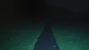 LEASH — foto 1