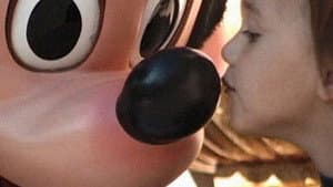 Disneyland, mon vieux pays natal — foto 4