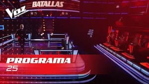 Episodio 25