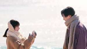 隣のステラ — foto 1