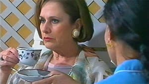 Telhados de Vidro — foto 7