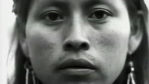 8 — foto 5