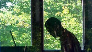 A Will for the Woods — foto 1