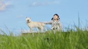 駅までの道をおしえて — foto 2