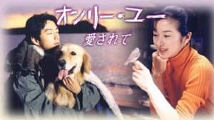 オンリー・ユー〜愛されて〜 — foto 2