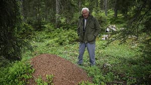 Attenborough and the Empire of the Ants — foto 10