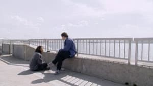 Episodio 13