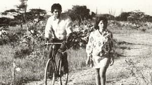 Maracaibo Petroleum Company — foto 1