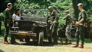 Combat Killers — foto 1