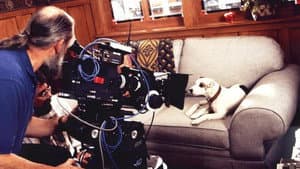 What's the Story, Wishbone? — foto 1
