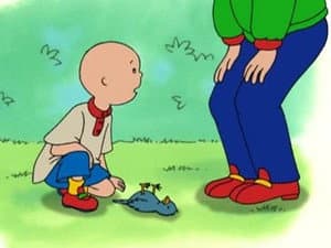 Episodio 48