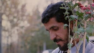 کلوزآپ ، نمای نزدیک — foto 2