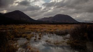 Life Off Grid — foto 2