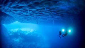 Antarctica, sur les traces de l'empereur — foto 9