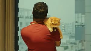 Love Sitter — foto 1
