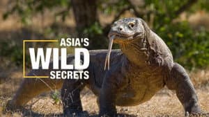 Asia's Wild Secrets — foto 12