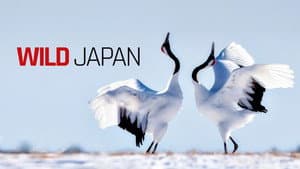 Japan: Earth's Enchanted Islands — foto 1