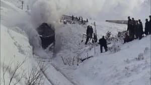 Snow — foto 1
