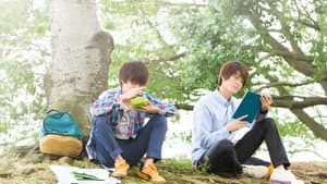 ひだまりが聴こえる — foto 4