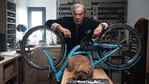 Ein fast perfekter Antrag — foto 11