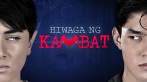 Hiwaga ng kambat — foto 1