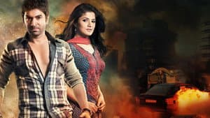 দিওয়ানা — foto 1