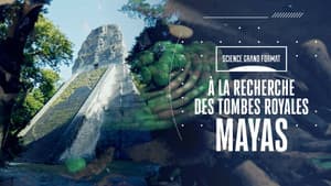 Episodio 11