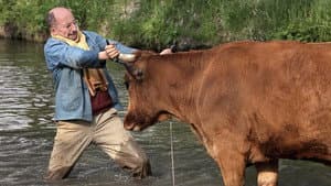 No se metan con mi vaca — foto 8