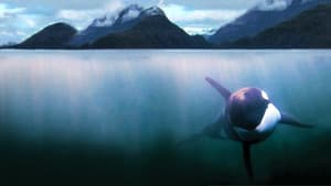 The Whale — foto 3
