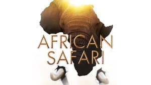 African Safari — foto 2