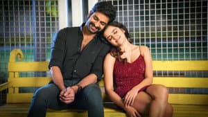 కృష్ణ వ్రింద విహారి — foto 5