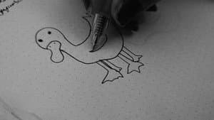 “Quack” — foto 5