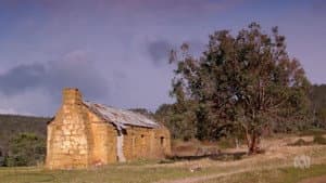 Episodio 2