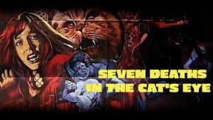 La morte negli occhi del gatto — foto 3