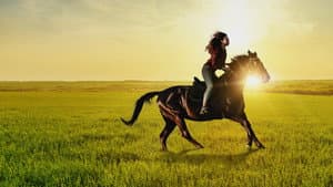 If I Could Ride — foto 1