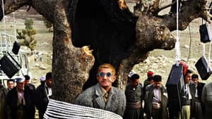 سرتە لەگەڵ با — foto 2