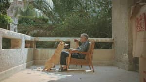 ١٩ ب — foto 1